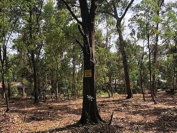 5026 Muellers Ln, Safety Harbor, FL 34695