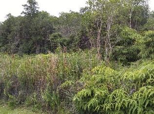 Road 2 LOT 89, Volcano, HI 96785