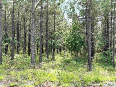 28 Grant County Rd #763, Sheridan, AR, 72150