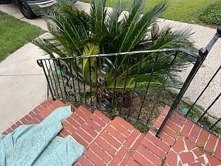 2859 Brierwood Dr — Photo 11