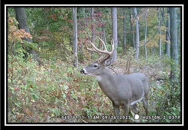 1st image of 34482 Huston Rd Tract 1