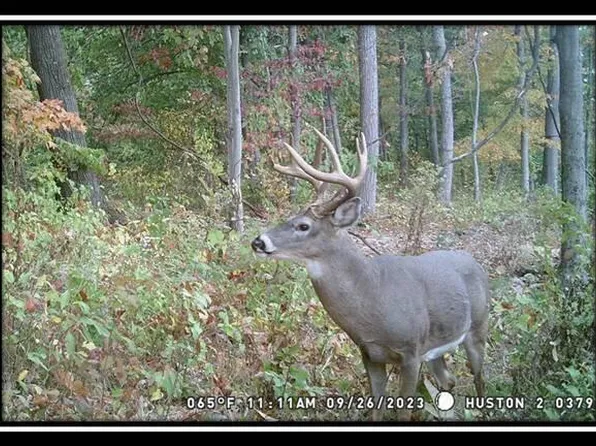 34482 Huston Rd Tract 1, Wilkesville, OH 45695