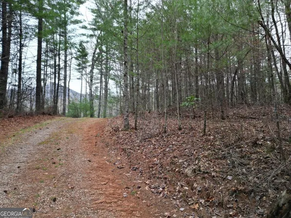 0 Grape Creek Rd, Murphy, NC 28906