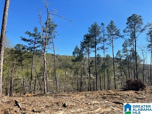 2nd image of 4609 Eagle Wood Ct #182B