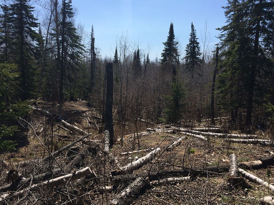 2nd image of Silver Fox Ln