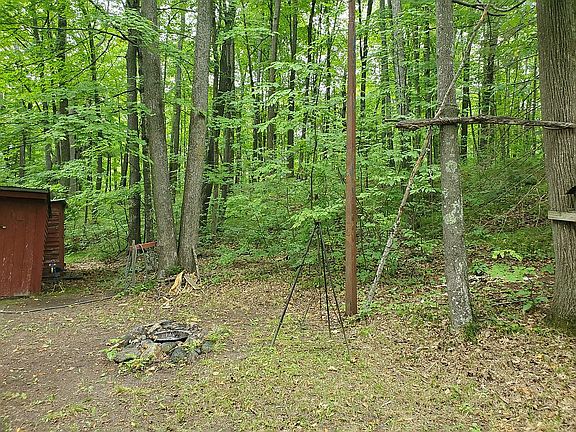Back Yard View