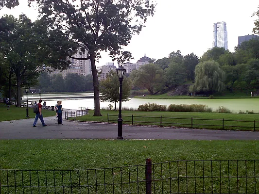 Rented by Central Park Holding Corp. | media 8