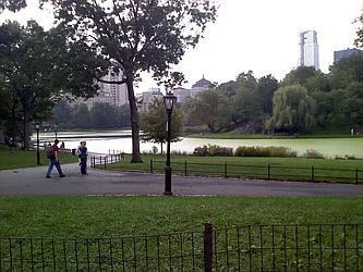 Rented by Central Park Holding Corp.
