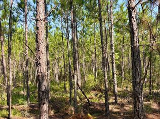 Vacant Circle Block Loop, Greenville, FL 32331