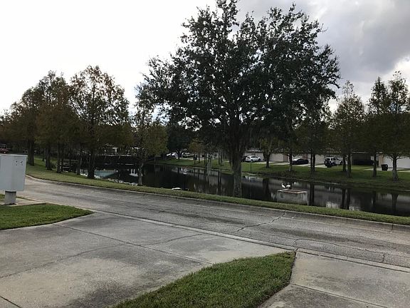 View from Rear of Property (pond view)