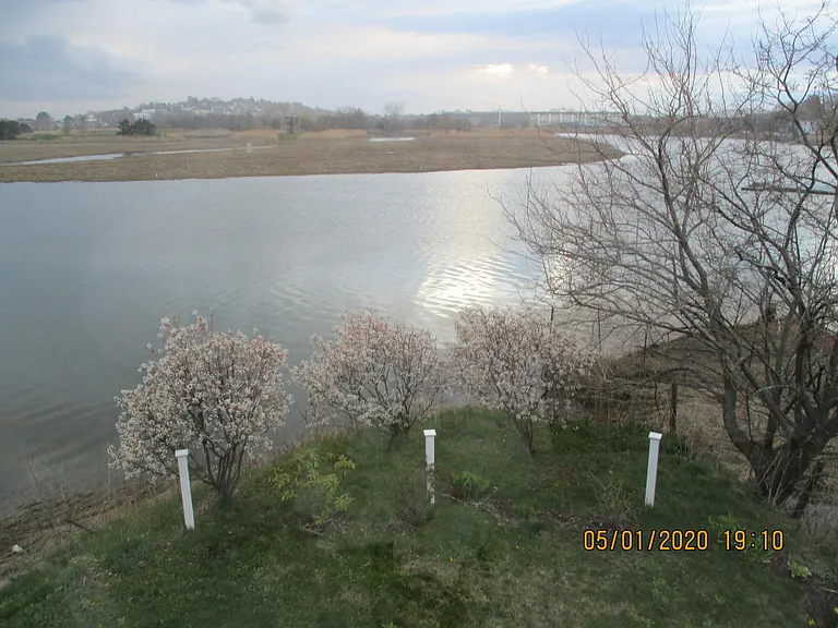 lawn, ocean and marsh looking west in spring from third floor family room - tide about 3/4 high