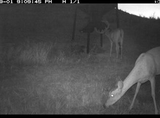 1250 County Road 31, Ashland, KS 67831