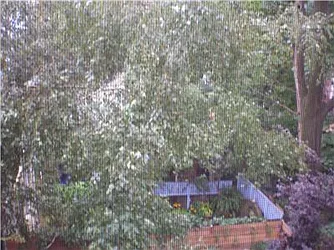 Rented by Barak Realty