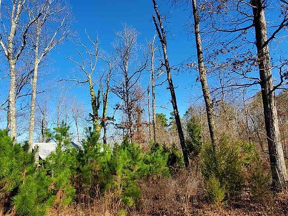2nd image of 199 Hickory Hl