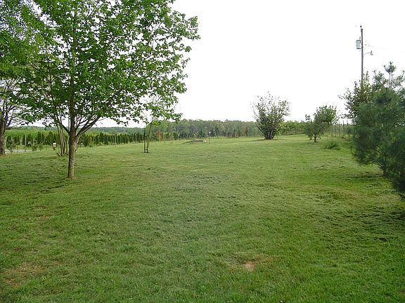 Beautiful pasture, great for a horse !