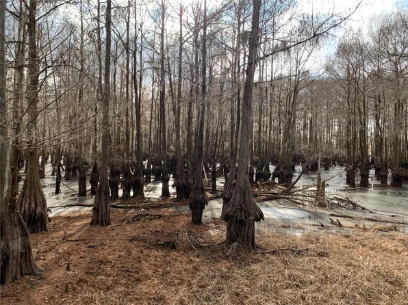 144 Swallow Ln, Ringgold, LA 71068