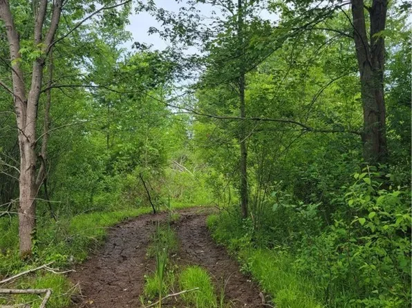 State Rd, Rock Creek, OH 44084