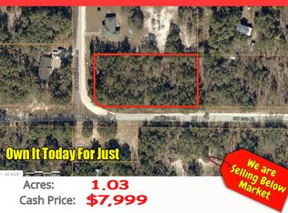 SW 168th Terrace Rd, Ocala, FL 34481