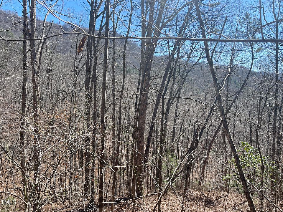 1st image of 0 Bear Cove Rd Tract A