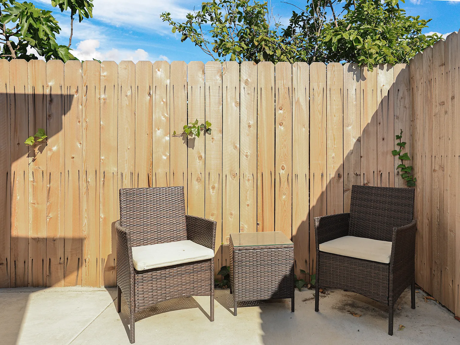2 bed, $5,000 — Photo 3