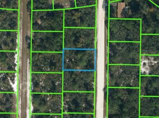 107 Bronson St NW, Lake Placid, FL 33852