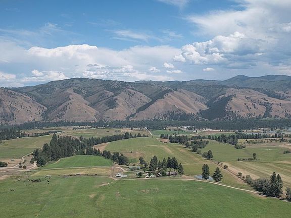Running Elk Toward The Sapphires