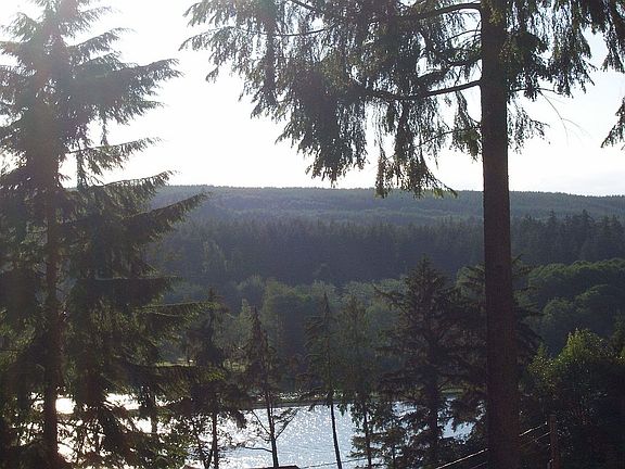 View from the Back Yard