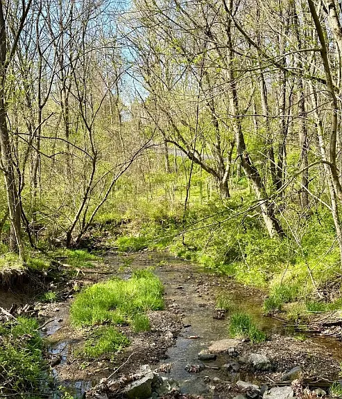 The Sanctuary at Linganore Creek — Photo 7