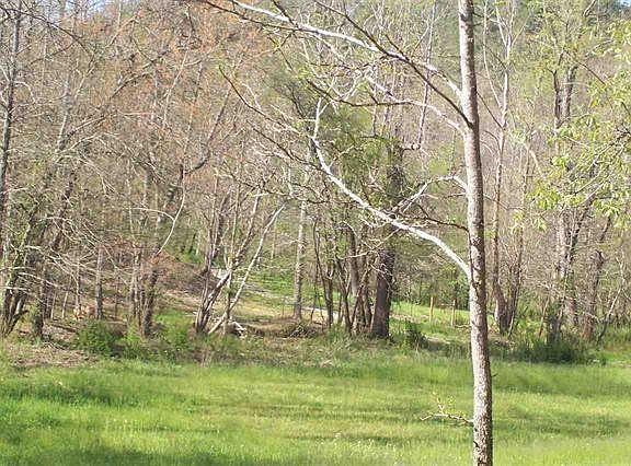 4th image of 0 SE Bakers Creek Rd
