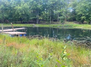 Oramel Hill Rd, Caneadea, NY 14717