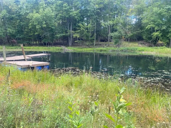 Oramel Hill Rd, Caneadea, NY 14717