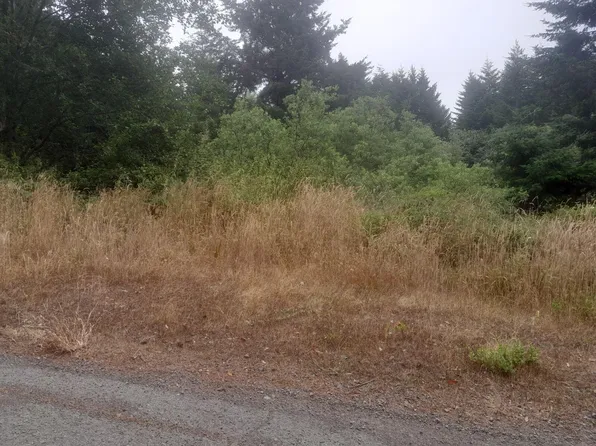 167 Spring Rd, Whitethorn, CA 95589