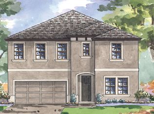 12824 Satin Lily Dr, Riverview, FL 33579