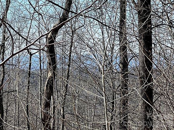 2nd image of 521 Timber Rock Trl #521