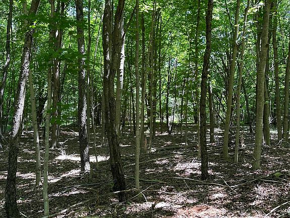 3rd image of LOT 2 Christopher Ln