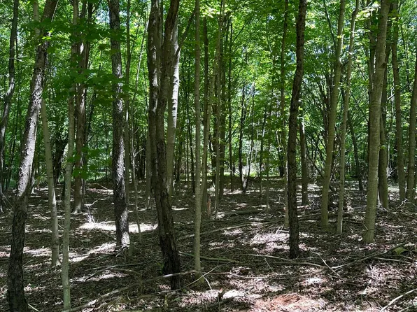 LOT 2 Christopher Ln, South Haven, MI 49090