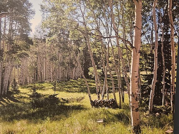 3rd image of 1255 Spruce Rd Lot 7