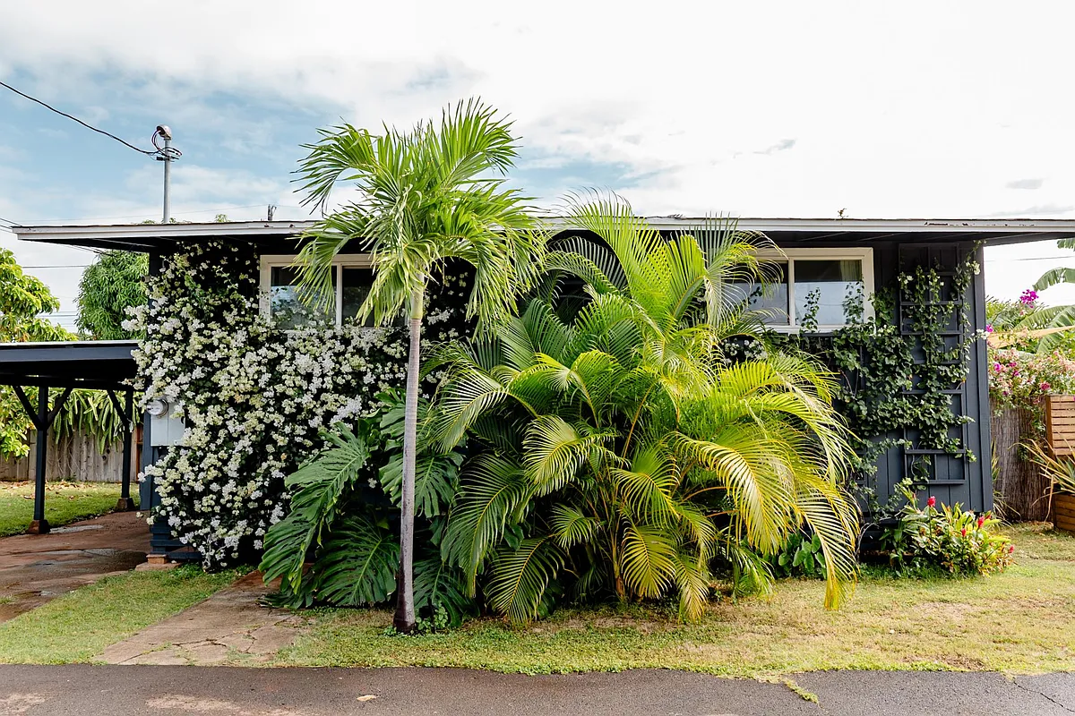 Checking into your lush, island bungalow - 91-841B Pohakupuna Rd