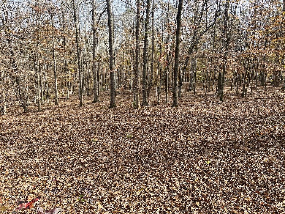 1st image of 1428 Saratoga Woods Dr