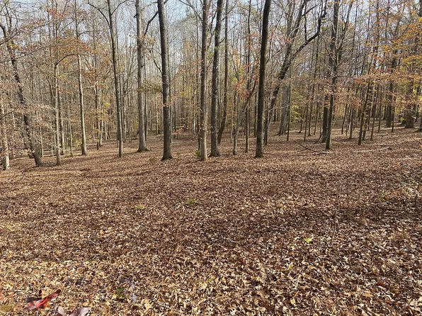 1428 Saratoga Woods Dr, Waxhaw, NC 28173