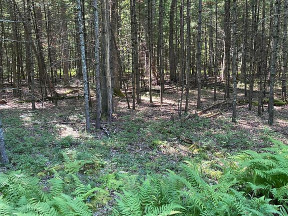 3rd image of LOT 35 Cricket Hill Rd