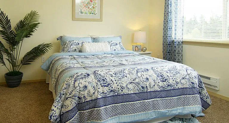 Celebration Senior Living Apartments — Photo 9