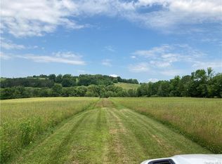 Willi Hill Rd, Swan lake, NY 12783