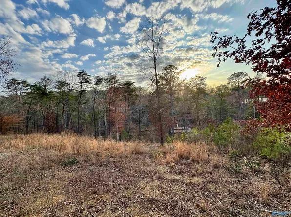 4 County Road 51, Bremen, AL 35033