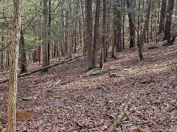 LOT 155 Merry Hill Rd, Bartonsville, PA 18321