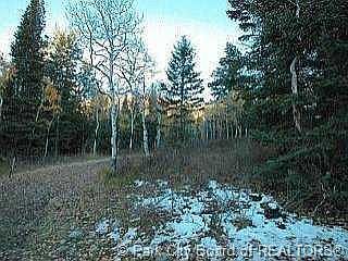 4th image of 504 Pinion Pine Cir #5