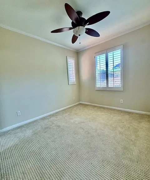 116 Coral Rose — Photo 28
