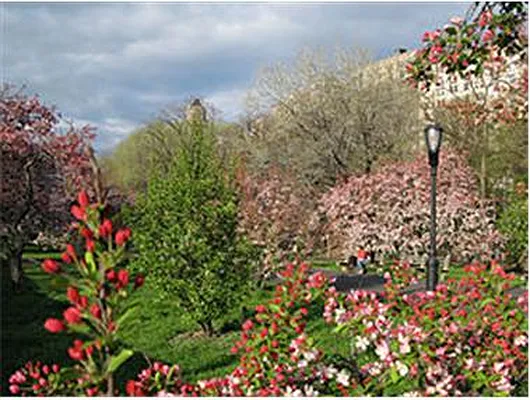 Sold by Douglas Elliman | media 20