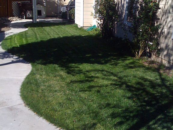 sprinkles/drip/landscaped