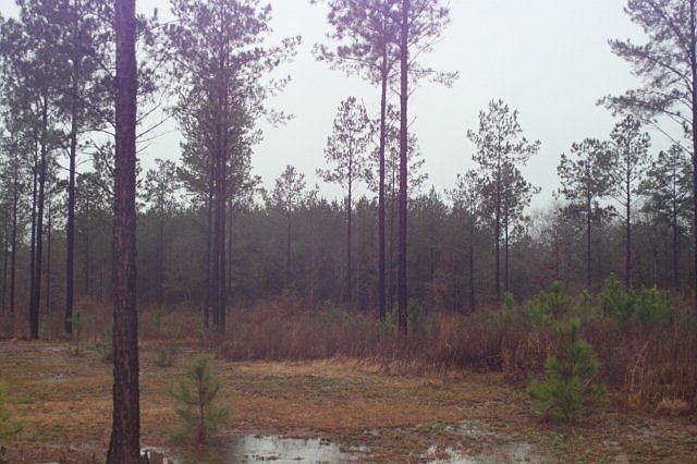 2nd image of 692 Ga Highway 308